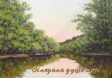 2008 - kolorni - 14_resize