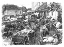 davanje-obaveze-u-irigu-1947