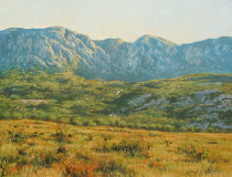 Crna gora_resize