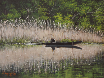 DSCF1315_resize