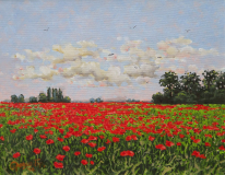 DSCF4227_resize