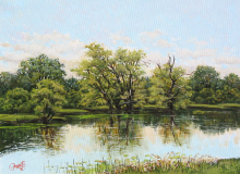 Dunavski ritovi 2_resize
