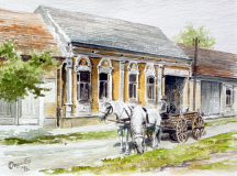 Kocijas u Staroj Pazovi II_resize