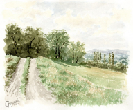 Motiv sa Drine_resize