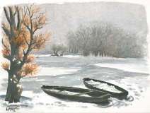 SCOPY 100 c12091709520_resize