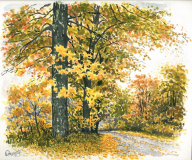 SCOPY 100 c12091709541_resize