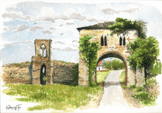 SCOPY 100 c12091710191_resize