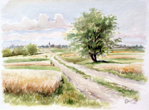 Zitna polja u Sremu_resize