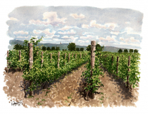 vodenica-2_resize