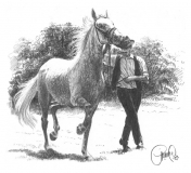 Brica - Jutarnje razigravanje_resize