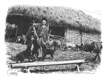 igranje-polinima_resize