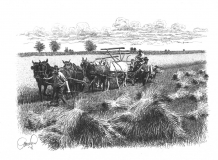kosenje-sa-sest-konja_resize